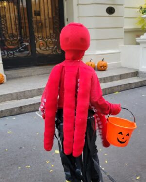 Abigail Savage Instagram - A good Halloween last night! An octopus costume as cool from the back as from the front; great pumpkin display in Grace Court Alley as per usual, and the celebratory ordering of the candy haul afterwards.