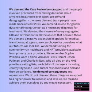 Abigail Thorn Instagram - Have to agree with Transgender Action Block here: too many people have died on the NHS waiting lists, we need self-determination! More segregation and control can’t be the answer - our bodies, our choice 💖✨👑