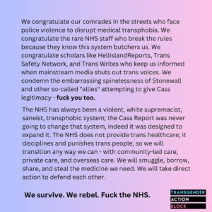 Abigail Thorn Instagram - Have to agree with Transgender Action Block here: too many people have died on the NHS waiting lists, we need self-determination! More segregation and control can’t be the answer - our bodies, our choice 💖✨👑