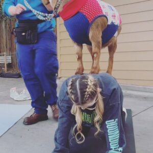 Abigail Breslin Instagram - well my life is now complete. Thank you so much @partygoatsla for making the first half of my bachelorette party incredible. 

(Yes, I asked for goat yoga for my bachelorette party, no I have zero shame.)

Special thanks to all of my bridal party and my mama for hosting/ helping set this up. And the handlers at @partygoatsla. The biggest thanks is to Gizmo and Doc Brown (the literal G.O.A.T.S). Legit the best day 😭😭😭😭🐐🐐🐐🐐❤️❤️❤️❤️❤️❤️