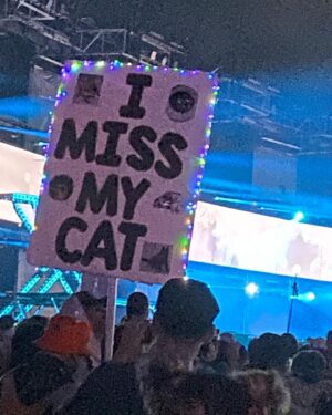 Abigail Breslin Instagram - Another amazing and memorable EDC weekend with my perfect husband and our friends!!!!!! 🥰🥰🥰🥰🌈🌈🌈🌈🎉🎉🎉🎉🌴🌴🌴🌴🔥🔥🔥🔥⚡️⚡️⚡️⚡️✨✨✨✨💫💫💫💫🎼🎼🎼🎼🥰🥰🥰🥰