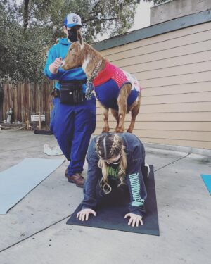 Abigail Breslin Instagram - well my life is now complete. Thank you so much @partygoatsla for making the first half of my bachelorette party incredible. 

(Yes, I asked for goat yoga for my bachelorette party, no I have zero shame.)

Special thanks to all of my bridal party and my mama for hosting/ helping set this up. And the handlers at @partygoatsla. The biggest thanks is to Gizmo and Doc Brown (the literal G.O.A.T.S). Legit the best day 😭😭😭😭🐐🐐🐐🐐❤️❤️❤️❤️❤️❤️