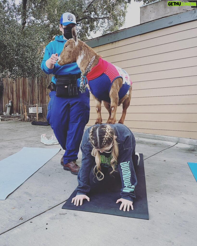 Abigail Breslin Instagram - well my life is now complete. Thank you so much @partygoatsla for making the first half of my bachelorette party incredible. (Yes, I asked for goat yoga for my bachelorette party, no I have zero shame.) Special thanks to all of my bridal party and my mama for hosting/ helping set this up. And the handlers at @partygoatsla. The biggest thanks is to Gizmo and Doc Brown (the literal G.O.A.T.S). Legit the best day 😭😭😭😭🐐🐐🐐🐐❤️❤️❤️❤️❤️❤️