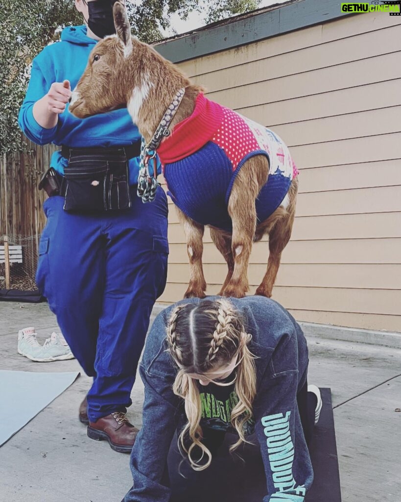 Abigail Breslin Instagram - well my life is now complete. Thank you so much @partygoatsla for making the first half of my bachelorette party incredible. (Yes, I asked for goat yoga for my bachelorette party, no I have zero shame.) Special thanks to all of my bridal party and my mama for hosting/ helping set this up. And the handlers at @partygoatsla. The biggest thanks is to Gizmo and Doc Brown (the literal G.O.A.T.S). Legit the best day 😭😭😭😭🐐🐐🐐🐐❤️❤️❤️❤️❤️❤️