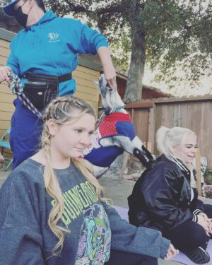 Abigail Breslin Instagram - well my life is now complete. Thank you so much @partygoatsla for making the first half of my bachelorette party incredible. 

(Yes, I asked for goat yoga for my bachelorette party, no I have zero shame.)

Special thanks to all of my bridal party and my mama for hosting/ helping set this up. And the handlers at @partygoatsla. The biggest thanks is to Gizmo and Doc Brown (the literal G.O.A.T.S). Legit the best day 😭😭😭😭🐐🐐🐐🐐❤️❤️❤️❤️❤️❤️