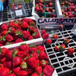Abigail Zoe Lewis Instagram - Volunteer day!!🍓🌾 #thegivingfarm #volunteer #nonprofit #explore