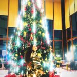 Aditi Sajwan Instagram - Christmas trees are fascinating , aren’t they !! 🌲🌲🌲 In homes, malls, streets , churches and in our childhood memories, these evergreen trees look oh so beautiful !!! 💕🫰🏻