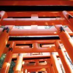 Ado Instagram - 人が多くてね、なかなか思うようには撮れませんでして、、、