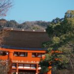Ado Instagram - 人が多くてね、なかなか思うようには撮れませんでして、、、