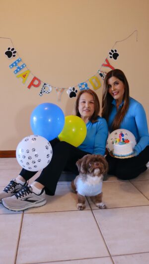 Adriana Cataño Instagram - Part 2 CHEWY’s bday #3 #bts My mom was so patient 😜 Hbd my precious baby boy ❣️🐶 @iamchewytheshihtzu Gracias @gabriellacatano for the BTS #livershihtzu 
#shihtzu #livershihtzu #shihtzunation #shihtzusofinstagram #shihtzulovers #shihtzulove #adrianacatano #lacataño