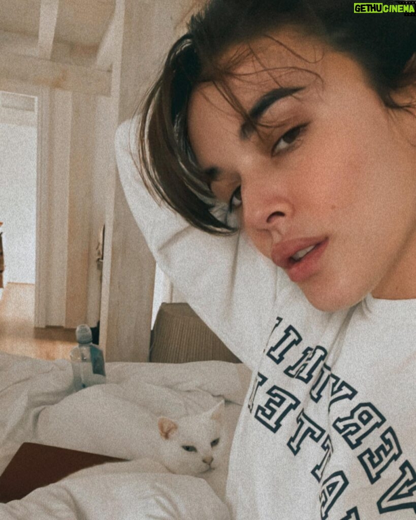 Adriana Ugarte Instagram - Hoy toca reposo avec mon bebé 🐈 🤒🤧😷😡12 días con gripe🥵