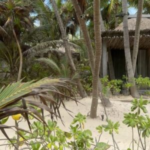 Agustina Lecouna Instagram - Dos dias en la vida nunca vienen nada mal. @nomadetulum @milagrosbrito @solsisah