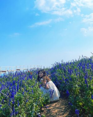 Ahn Ji-young Instagram - 바람 사람 🌼