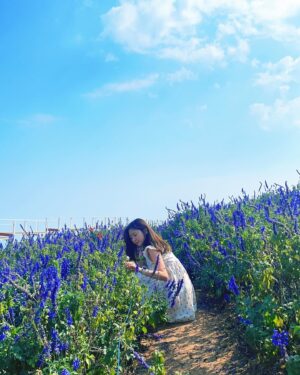 Ahn Ji-young Instagram - 바람 사람 🌼