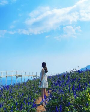 Ahn Ji-young Instagram - 바람 사람 🌼