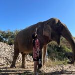 Ahn Ji-young Instagram - 콕끼리 안뇽👋 버내너 안뇽🍌