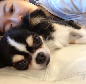 Ahn Sun-Young Instagram - #나의따뜻한강아지 
이노래를 들으니 천국간 우리 대박이🐶가 너무 그립네요... 

늘 혼자서 밤늦도록 일하고 오는 나를 애타게 기다렸을 아이. 
내가 뱃속에 바로를 품고 있을때 늘 24시간 나를 지켜주었던... 
바로가 태어나도 늘 갓난아이 곁을 조심스레 맴돌며 아이를 지켜주던 내사랑🩷

잘지내지 대박아..? 
천국에서 울엄마 안아프게 잘 지켜봐주고, 
19살 나나할미견 가는 날까지 고통없이 아프지않게 살다갈수 있게 수호천사가 되어주렴🩵🩷

#민트클라우드🩵
#나의따뜻한강아지🐶