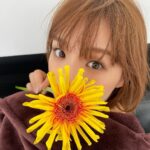 Ai Shinozaki Instagram - 今年も残り1ヶ月🌼