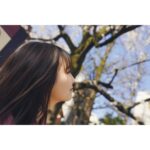 Aika Sawaguchi Instagram - 最近の沢です。