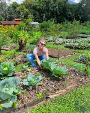 Aimée Madureira Instagram - Colhendo meus alimentos da semana! 🌱🌻🍀 #hortaorganica #healthylifestyle #healthyfood #quantomaisnaturalmelhor #nutrição #nutrition