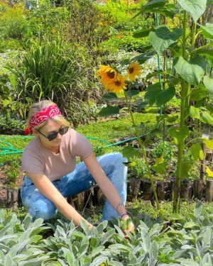 Aimée Madureira Instagram - Colhendo meus alimentos da semana! 🌱🌻🍀 #hortaorganica #healthylifestyle #healthyfood #quantomaisnaturalmelhor #nutrição #nutrition