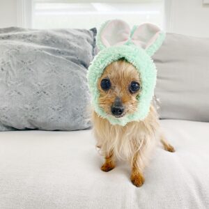 Aimee Teegarden Instagram - The littlest Easter bunny 🐰❤️ #easterbunny