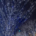 Airi Matsui Instagram - もうクリスマスだね〜🎄🤍 相変わらず引きこもりしがちだけど たまにキラキラしてる街に出てクリスマス味わってきた💫