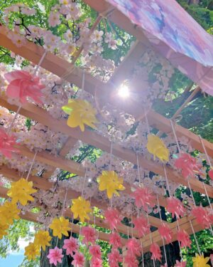 Akane Haga Instagram - ⁡
⁡
⁡
｢札幌諏訪神社｣に行ってきました🌸
⁡
⁡
早朝にお仕事をひとつしてから、
朝の9時に参拝をしたのですが……
⁡
眠気が吹き飛ぶくらい可愛かった〜〜！笑
⁡
⁡
すごく神秘的な写真も
生田さんが撮影してくださったので、
明日、また載せますね☁️🫶🏻
⁡
⁡
#morningmusume24 #モーニング娘24 #羽賀朱音
#photo #by #櫻井梨央 #ちゃん #3人で行った
#札幌諏訪神社 #諏訪神社 #北海道 #札幌 #神社
#北の神社巡り #神社巡り #北海道観光 #札幌観光
