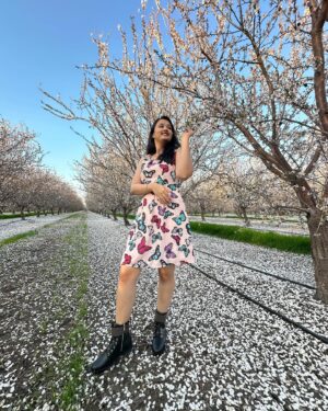 Akhila Pajimannu Instagram - 🌸🤍

#akhilapajimannu #singer #instagram #instagood #instalike #instadaily #instamood #instafashion #ootd #almond #blossom #usa #kannadathi #karnataka #post #positivevibes