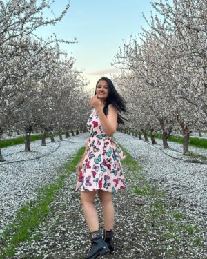 Akhila Pajimannu Instagram - 🌸🤍

#akhilapajimannu #singer #instagram #instagood #instalike #instadaily #instamood #instafashion #ootd #almond #blossom #usa #kannadathi #karnataka #post #positivevibes