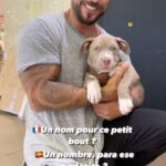 Alain Rocben Instagram – 🇫🇷Comment appellerais-tu ce trésor ?
🇪🇸Como llamarias esa preciosidad ? 
#dogsofinstagram #dogpeoplearedope #dogoftheday #doglove #dogs_of_instagram #alainrocben