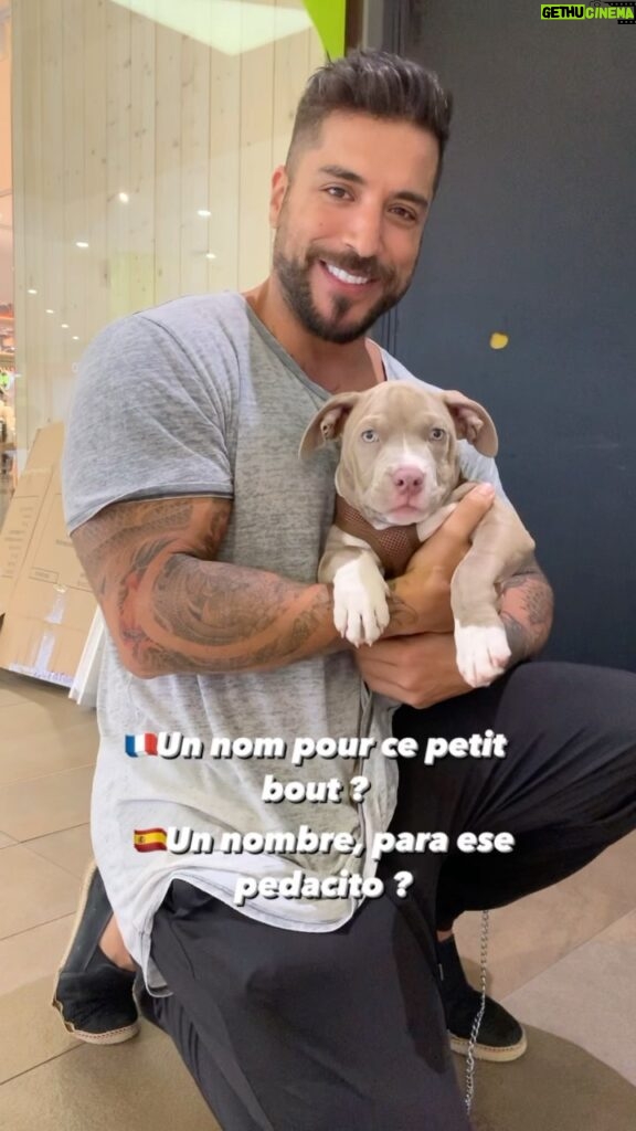 Alain Rocben Instagram - 🇫🇷Comment appellerais-tu ce trésor ? 🇪🇸Como llamarias esa preciosidad ? #dogsofinstagram #dogpeoplearedope #dogoftheday #doglove #dogs_of_instagram #alainrocben