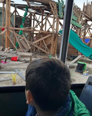 Alanna Ubach Instagram - WHAT A PERFECT DAY @unistudios @universalintlstudios  THANK YOU FOR MAKING MY SON SMILE FROM EAR TO EAR FOR A STRAIGHT 4 HOURS! Oxoxoxxxo
