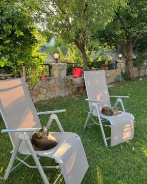 Alara Turan Instagram - Temmuzkarışık.jpg ☀️🕶️