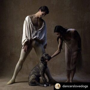 Alessandra Ferri Instagram - My first puppy love ❤️ Gideon during a photoshoot with @robertobolle @fabrizioferriofficial