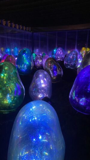 Alex Steele Instagram - A very magical experience ✨ No filters added - it was really just that beautiful