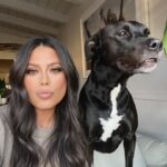 Alex Curry Instagram - A series of #selfies & #puppies 🤗