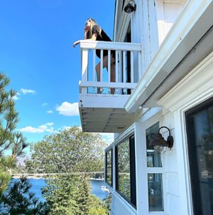 Alexa Nisenson Instagram - lake arrowhead is my fav spot near LA to slow down and just recharge!!! my fav @airbnb ‘s in the area have always been @to_dwell_here • this isn’t an ad • just so in love with their homes and they are literally the nicest ppl ever…so wanted to share!! I stayed at their pacific palisades house this trip and as u can see the entire house is literally perfection but also…no shortage of photo op spots here which you know I love!! #lakearrowhead #lakelife