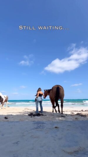 Alexandra Cosentino Instagram - The proposal 💍
[part 1]
#lovebeach 
#ranchresortbahamas