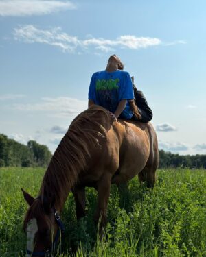 Alexandra Cosentino Instagram - #ᴘʜᴏᴛᴏᴅᴜᴍᴘ de pitous 🐴 
La dernière photo😅 jte jure j’me donne for real!!! ( le bleu man) 

Tank 🐴 le plus tannant des 3 bébés de 1350lbs ! 

#equestrainlife #ridingfreestyle #horseridersofinstagram
