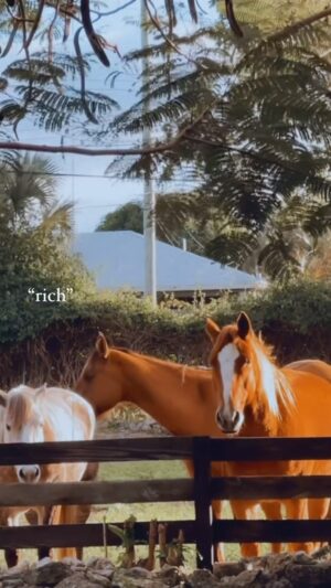Alexandra Cosentino Instagram - #rich 💚