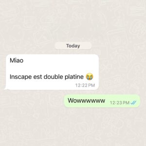 Alexandra Stréliski Instagram - ✨ DOUBLE-PLATINE ✨

Mon petit Inscape (qui a eu 5 ans cette semaine) est maintenant certifié double platine!! C’est complètement fou de recevoir autant d’amour. 🥹 Merci à vous merveilleux public et à mon équipe qui travaille si fort (et si bien) depuis 5 ans. Ça prend tout un village pour élever un bébé. 💜✨

My little Inscape just got certified double-platinum in Canada!! I can’t even begin to conceive so much love. 🥹 So much gratitude to all of you who have adopted this record and to my wonderful team who continue to believe in my music so much. 🫶🏻🫶🏻🫶🏻🫶🏻

Label: @secretcityrecords 
Management: Emmanuelle Girard @ccbeau.co
Mix et recording: @pascalshefteshy 
Partner in crime: @max_navert 
Artwork: Catherine Pelletier @cpelletier27 
Illustration: Elisabeth Gravel @elisabethg_illustration
Mastering: Taylor Deupree