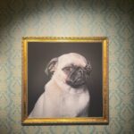 Alexandra Beaton Instagram - brief recollections
