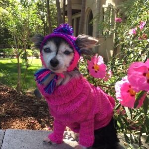 Alfre Woodard Instagram - Cha! Not a bunny I’m an EasterGirl.