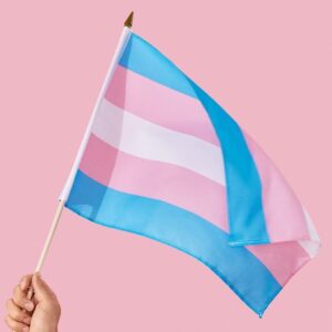 Alfre Woodard Instagram - I celebrate the beauty and resilience of You, Trans Community. Your countless creative, cultural and civic contributions lift our every days. 
I weep for the 350 transgender lives that have been stolen globally this year. This week I’m thinking deeper of how I can support our trans community, every week. Join me. Trans Day of Remembrance is 11/20.
#transisbeautiful #TDOR #TransAwarenessWeek