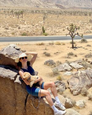 Ali Cobrin Instagram - Joshua Tree photo dump 🧡
:
:
:
:
:
:
@campervanguy #vanlife #campervan #campervanguy #camping #joshuatree #vanlifeexplorers