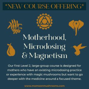 Ali Tate Cutler Instagram - We are proud to deliver an expansive, powerful exploration experience that will level you up to where your voice is clear, your worth is believed, and you give yourself permission to stand behind the things you care about. This Level 2 course is the visioning of @momsonmushroomsofficial founder Tracey Tee and world renowned model-turned self-expressed mama, @ali_tate_cutler. 🦚Did you know that 50% of American women self-censor and people-please due to fear of retribution & cancellation from others...including loved ones? Magnetism means that you are naturally attracting the things in life that are most important to you but you can’t be magnetic if you’re not showing life who you really are. This large-group course will ask you to work with an intentional microdosing practice as you explore how to peel back layers of fear, shame, guilt and unworthiness to release the best version of yourself: a woman who is a #mother a woman who is whole a woman who doesn’t have to apologize a woman who has a voice a woman who remains curious and a woman who can speak her truth with compassion and kindness OUR FIRST GATHERING IS FEBRUARY 21ST WE WILL MEET EVERY WEEK FOR 8 WEEKS ON ZOOM YOU WILL BE CHALLENGED TO YOUR CORE YOU WILL EMERGE FROM YOUR COCOON YOU WILL UNLEASH YOUR THROAT CHAKRA 🦋 link in bio