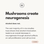 Ali Tate Cutler Instagram - Comment with a 🍄 if you’re a Mama and ready to microdose in a badass, international container with dozens of other Mamas… This program with @momsonmushroomsofficial begins February 21st, and we’re going deep in the work to open the throat chakra. Let’s connect all the Mamas to the mycelial network.