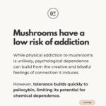 Ali Tate Cutler Instagram - Comment with a 🍄 if you’re a Mama and ready to microdose in a badass, international container with dozens of other Mamas… This program with @momsonmushroomsofficial begins February 21st, and we’re going deep in the work to open the throat chakra. Let’s connect all the Mamas to the mycelial network.