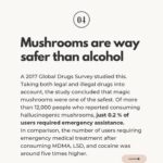 Ali Tate Cutler Instagram - Comment with a 🍄 if you’re a Mama and ready to microdose in a badass, international container with dozens of other Mamas… This program with @momsonmushroomsofficial begins February 21st, and we’re going deep in the work to open the throat chakra. Let’s connect all the Mamas to the mycelial network.